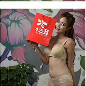 Hình ảnh Áo Ngực Nữ Nội Y cao Cấp 12h E193 Mút Vừa Có Gọng Ren