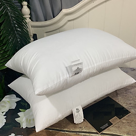 Mua CẶP RUỘT GỐI ÉP HƠI 45x65 ( 2 CÁI )