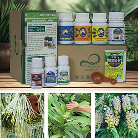 Mua COMBO8 50 - Phân Bón Chăm Hoa Lan  Cây Cảnh Ở Mọi Giai Đoạn (50g/ml/chai)