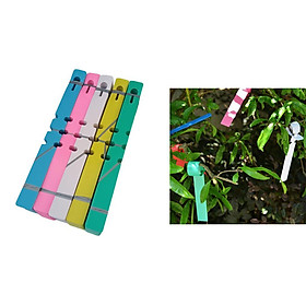 200-Piece Colorful Plastic PVC Plant Tree Tag Hanging Vegetables Labels