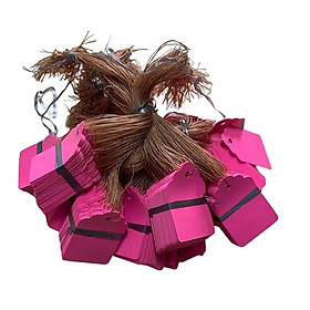 Mua 100 Thẻ Ghi Tên  Đánh Dấu Hoa Lan Cây Cảnh - Có Dây Buộc Tiện Lợi - Nhiều Màu Đẹp