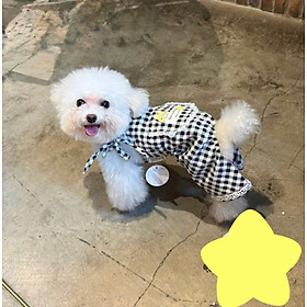 JUM YẾM CARO DỄ THƯƠNG TỪ 1-6.5KG CHO THÚ CƯNG CHÓ MÈO