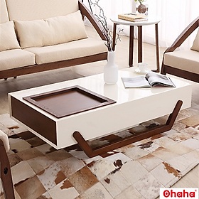 Mua   Miễn phí giao hàng và lắp đặt tại TP.HCM  Bàn trà sofa OHAHA kiểu dáng độc đáo - BT009