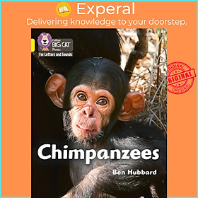 Sách - Chimpanzees - Band 03/Yellow by Ben Hubbard (UK edition, paperback)