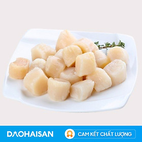 Chỉ giao HCM Cồi Sò Điệp Size L Khay 500g