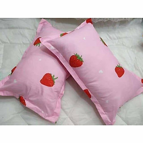 Mua Đôi ruột gối + vỏ gối nằm 45*65