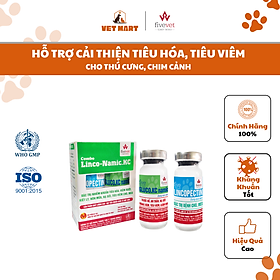 Combo Linco-Namic.KC (10ml) - Dung Dịch Hỗ Trợ Trị Nhiễm Khuẩn Tiêu Hóa, Tiêu Viêm Cho Thú Cưng, Chim Cảnh