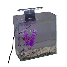 Bể cá mini để bàn 20x10x20cm có đèn