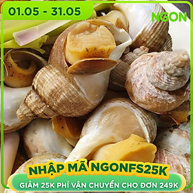 Chỉ giao HCM Ốc Bulot Pháp 1Kg  Loại 1