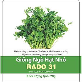 Hạt Giống Ngò Hạt Nhỏ Rado 31- Ngò Rí - Rau Mùi Ngò Ta- Dễ Trồng, Cây Sinh Trưởng và Kháng Bệnh Tốt -  Gói 20gr - RẠNG ĐÔNG, HẠT GIỐNG TỐT