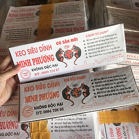 Mua Combo 12 Chiếc Keo Dính Chuột Minh Phương  Bây Chuột Siêu Dính