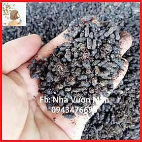 Mua 50gr Phân Dơi Nguyên Chất Tốt Cho Mọi Cây Trồng