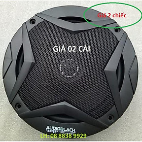 LOA 16CM CÓ CẢ BASS TREBLE AUDIO BLACK - GIÁ 2 CỦ LOA