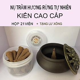 Mua Nụ Trầm Hương Tự Nhiên Rừng siêu thơm ( Tặng Lư Xông Trầm