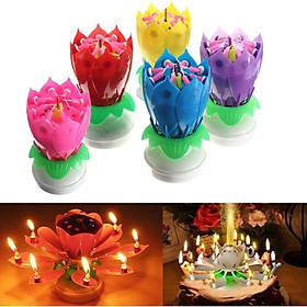 Mua NẾN SINH NHẬT 3D NỞ HOA PHÁT NHẠC