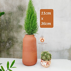 Mua Chậu đất nung  Chậu sen đá - Bình hoa 1136  miệng chậu 11cm  chiều cao 36cm
