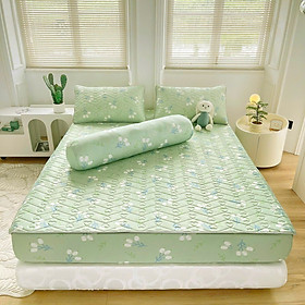 Mua Chiếu điều hòa mát lạnh  chiếu cao su bo chun dày dặn  mềm mại thoáng mát tặng kèm vỏ ôm  đủ size