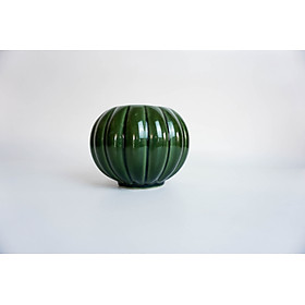 Mua Bình Hoa Trúc Mai