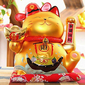 Mèo vàng kim vận phát tài may mắn