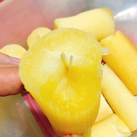 Mua CÂY GIỐNG KHOAI MÌ RUỘT VÀNG DẺO THÁI LAN