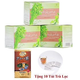 Combo 3 Bột Cần Tây Sitokata Nhật Bản (Tặng Kèm 10 Túi Lọc Trà Ổi Orihiro Nhật Bản + Bình Nước + Cẩm Nang Giảm Cân 7 Ngày)