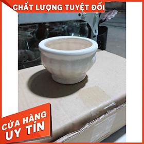 Chậu Trồng Cây Nhiều Người Mua