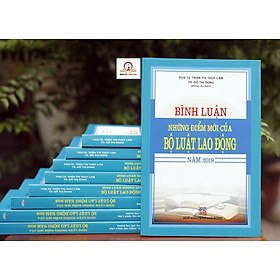 Bình Luận Những Điểm Mới Của Bộ Luật Lao Động Năm 2019