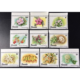 Mua Bộ Tem Sưu Tầm Rwanda Năm 1981 Chủ Đề Các Loài Hoa - 9 Con Stamps.