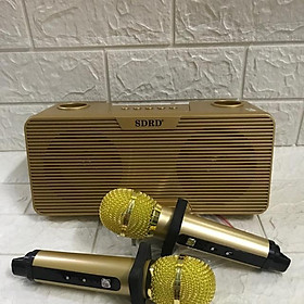 Mua Loa kèm míc đôi SD 302