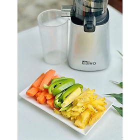 Mua  Hàng chính hãng  Máy Ép Chậm OLIVO SJ210 - Ép Kiệt Bã 97% - Ép Rau Củ Quả - Làm Kem - Nhỏ Gọn - Dễ Vệ Sinh - Livo Making Life Easier