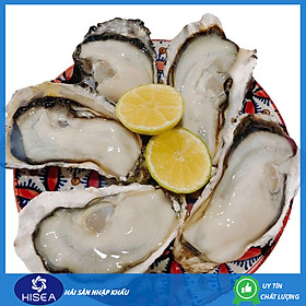 Hàu sữa Nhật Hyogo ( Size :6-8 con) - 1kg