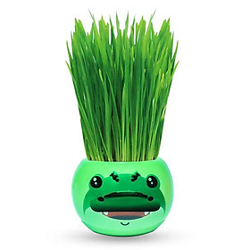 Africa animals Chậu cây trồng Agrioly Grass Kit - hình CÁ SẤU và hạt giống tiêu chuẩn của Úc.