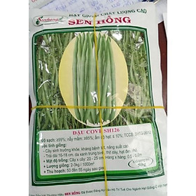Mua Hạt giống đậu cove (đậu que) Sen Hồng 50g