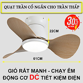 Mua Quạt Trần Hiện Đại Lê Gia | Quạt Trần Cổ Ngắn Cho Trần Thấp Năm 2022 - Hàng Nhập Khẩu