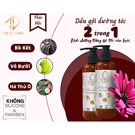 Dầu gội dưỡng tóc 2 trong 1 250ml DR.SKINS