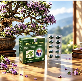 Viên uống bổ não Ginkgo biloba 120mg, hộp 100 viên, cải thiện trí nhớ, giúp ngủ ngon