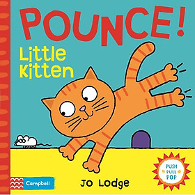 [Download Sách] Pounce! Little Kitten