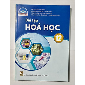 Sách Bài Tập Hóa Học 12- Chân Trời Sáng Tạo (Kèm Nilon bọc Sách)