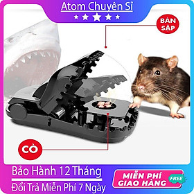 Mua Bẫy Chuột Thông Minh Dễ Sử Dụng   Bẫy Các Loại Chuột Rất Hiệu Quả