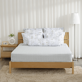 Bộ ga giường K-Bedding KMP chất liệu Microfiber bền chắc, kháng khuẩn (KHÔNG BAO GỒM CHĂN)