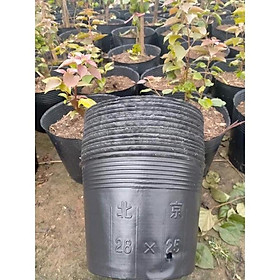 1kg bầu đen mã 28x25 được khoảng 37 cái chỉ 50 nghìn