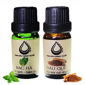 Bộ tinh dầu tạo sự tỉnh táo đem lại sự tập trung trong công việc 10mlx2 (bạc hà, quế) Ngọc Tuyết