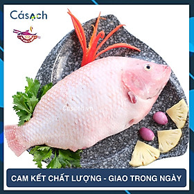 Cá diêu hồng làm sạch - CKFoods - 400 g - 500 g