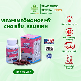 Vitamin Tổng Hợp Cho Bà Bầu Bổ Sung Sắt Và DHA Prenatal Multi + Dha Softgel Hộp 30 viên
