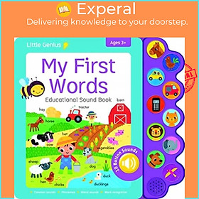 Sách - My First Words by  (UK edition, boardbook)