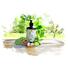 Dung Dịch Rửa Tay Thảo Mộc Mẹ Ken (500ML)