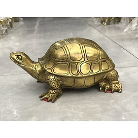 Rùa Vẽ Tây là loài vật cưng đáng yêu và đầy màu sắc. Tại BeeCost, chúng tôi tự hào giới thiệu đến bạn bộ sưu tập Rùa Vẽ Tây ấn tượng và đang bán chạy nhất tháng 3/