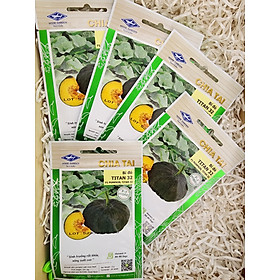 Hạt Giống Bí Đỏ lai F1 Titan 32