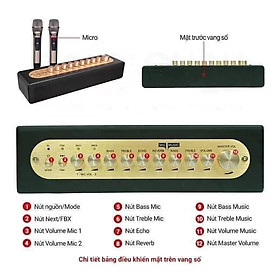 Mua VANG SỐ CHỈNH CƠ TÍCH HỢP BLUETOOTH & MICR0 KHÔNG DÂY UHF Mi30S ver2024 hàng chính hãng