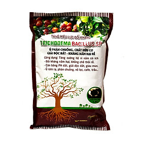 >> BÁO GIÁ CHẾ PHẨM SINH HỌC HỮU CƠ VI SINH TRICHODERMA 1000G (CHỨA NẤM ĐỐI KHÁNG TRICHODERMA,BACILLUS SUBTILIS,STREPTOMYCES SPP) - TRICHODERMA FUNGI 1000G | Shopee Lazada Sendo Tiki mới nhất 210 Chế phẩm vi sinh Trichoderma TRIBAC. Nấm đối kháng cực mạnh. Ngăn chặn tuyến trùng, nấm bệnh gây vàng lá thối rễ. Ủ phân chuồng hoai mục
